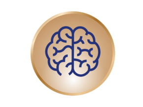 Brain Development