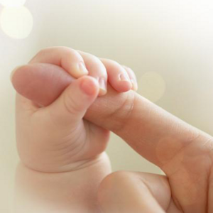 SHSH Homepage Banner 3 (Mobile) 768x768.png