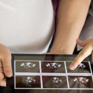 Pregnancy Weekly Calendar