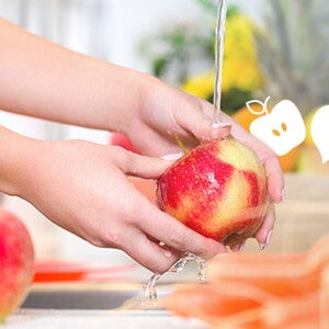 Safe Food Preparation Principles