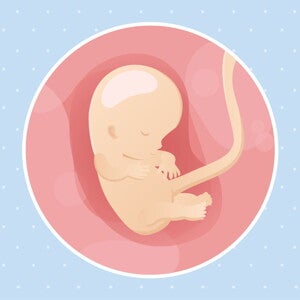 pregnancy-belly-fetal-development-week-10