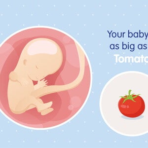 pregnancy-belly-fetal-development-week-11