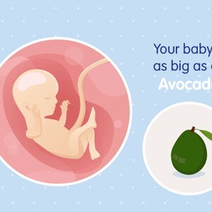 pregnancy-belly-fetal-development-week-16
