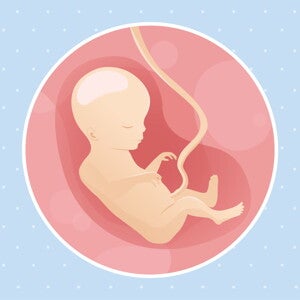 pregnancy-belly-fetal-development-week-18