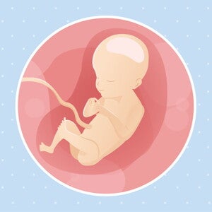 pregnancy-belly-fetal-development-week-21