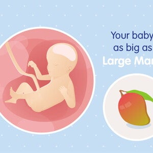 pregnancy-belly-fetal-development-week-23