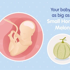 pregnancy-belly-fetal-development-week-25
