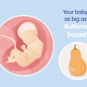 pregnancy-belly-fetal-development-week-29