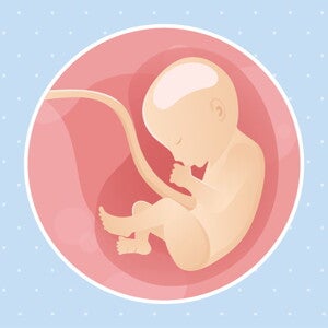 pregnancy-belly-fetal-development-week-30