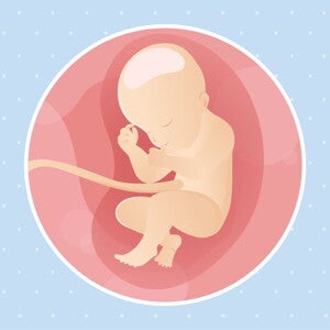 pregnancy-belly-fetal-development-week-31