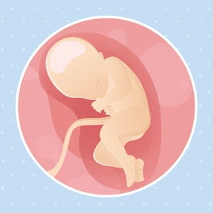 pregnancy-belly-fetal-development-week-32