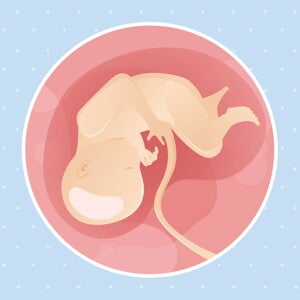 pregnancy-belly-fetal-development-week-34