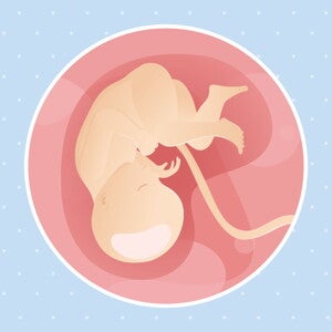 pregnancy-belly-fetal-development-week-35