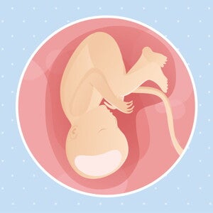 pregnancy-belly-fetal-development-week-37