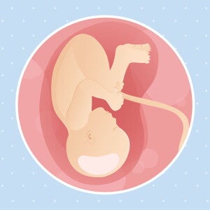 pregnancy-belly-fetal-development-week-38