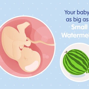pregnancy-belly-fetal-development-week-39