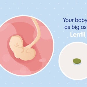 pregnancy-belly-fetal-development-week-4
