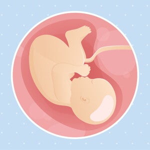 pregnancy-belly-fetal-development-week-40