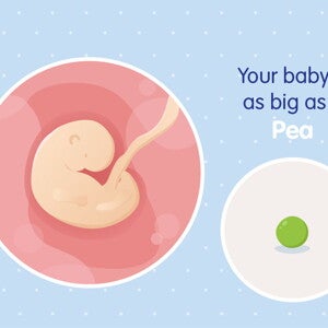 pregnancy-belly-fetal-development-week-5