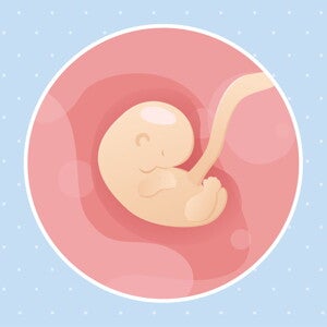 pregnancy-belly-fetal-development-week-6