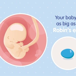 pregnancy-belly-fetal-development-week-8