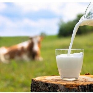 understanding_lactose_intolerance_in_babies