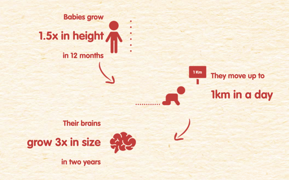 Cerelac Infographic Cerelac Infographic